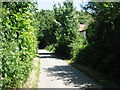 View along Chalksole Green Lane