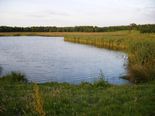 Rainton Meadows Nature Reserve