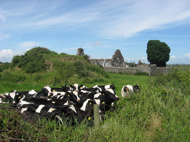 Motte and church ruins at Mayne, Co. Louth