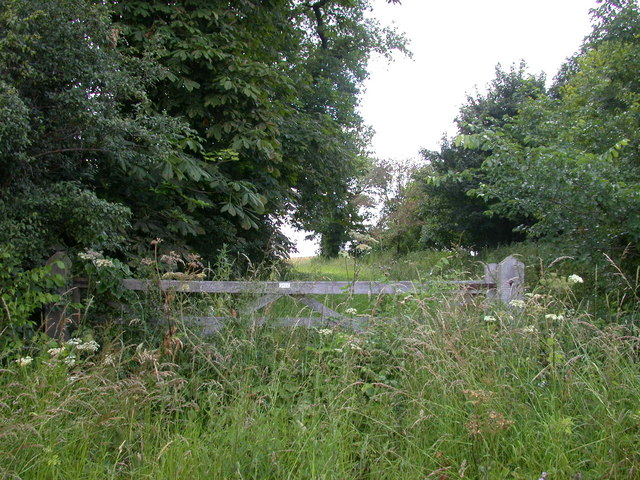 Disused farm gate