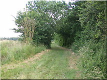 TL3156 : Bridleway to Bourn by Keith Edkins