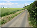 View along lane towards Colfir Farm