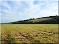 Mown hay, Fawley