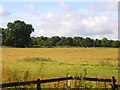 Meadow, Hurst