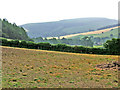 Shropshire landscape