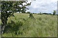 Boundary near Forest Burn