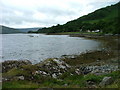 Houses by the shore