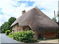 Thatched cottage, Pitton