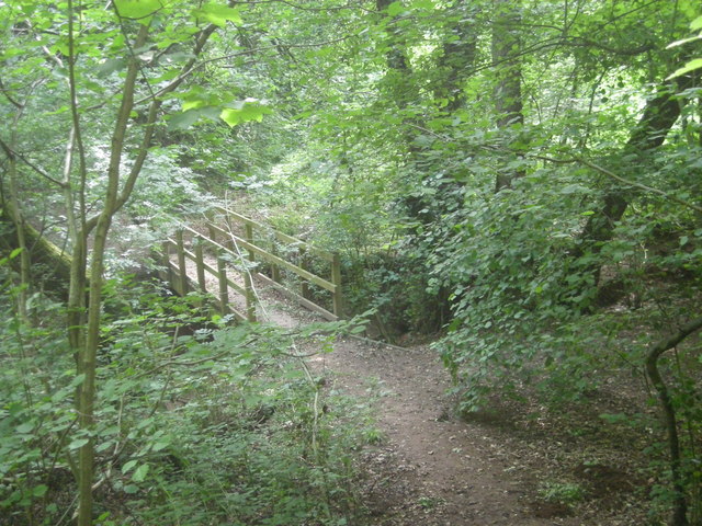 Footbridge in the woods © Row17 :: Geograph Britain and Ireland