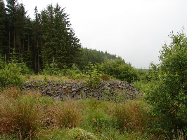 Black Hill, Laurieston Forest