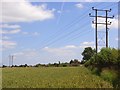 Farmland, Maidenhead