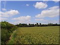 Farmland, Maidenhead