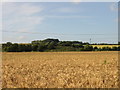 View across the fields from Drainless Road