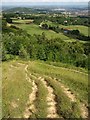 Paths on Painswick Beacon