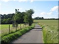 Road to Down Farm near Chilmark