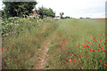 Footpath behind Old Kennels Lane