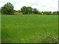 Killycowan Townland