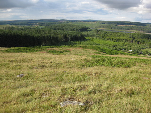 Moorland and forest above Llyn Alwen