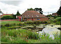 View across duck pond