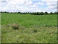 Ballyreagh Townland