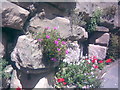 Close-up of Sandstone Wall in Ramsgate