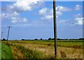 Alongside the road to Howdales from Eleven Greens