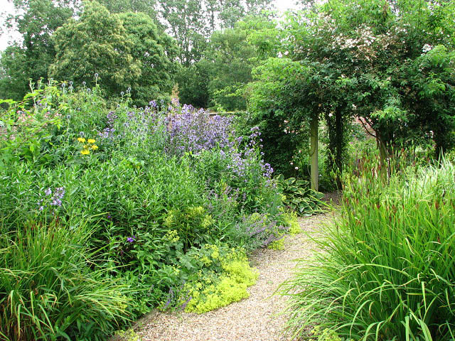 Mannington Hall - The Heritage Rose... © Evelyn Simak :: Geograph ...