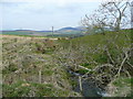 Gariochsburn; view west