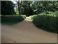 Footpath heading to the Cambrian Gate