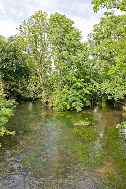 Confluence on River Itchen, College Walk, Winchester
