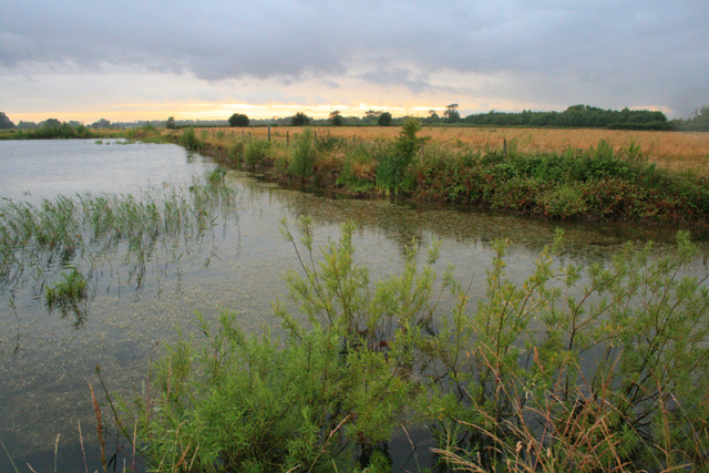 Small Gravel Pit Pond © David Lally cc-by-sa/2.0 :: Geograph Britain