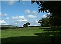 Farmland near Arlington Court