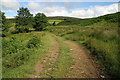 A track near Blackburn Farm