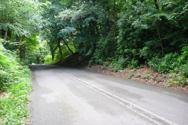 Top Of Yellowham Hill © Nigel Mykura Cc By Sa20 Geograph Britain