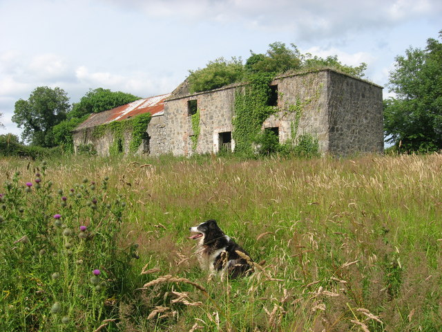 Ruined farmhouse at Julianstown, Co. Meath