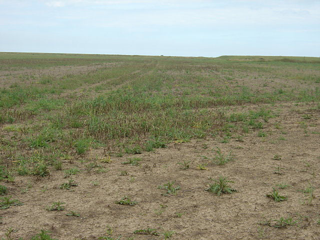 Desolate field © Alan Murray-Rust cc-by-sa/2.0 :: Geograph Britain and ...