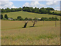 Farmland, Stokenchurch