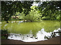 SU7276 : Pond on Caversham Park Estate by Rod Allday