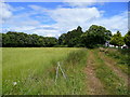 Track and footpath