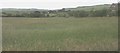 View NE across farmland with Dulas Bay in the background