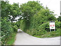 Lane leading to Drws y Coed