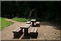 Picnic Tables, Holden Park