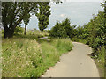 Path to the foreshore