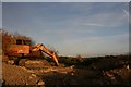 The old allotments site Crane Moor