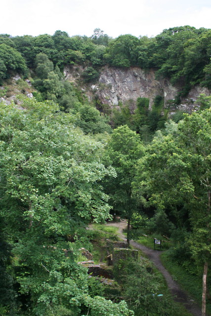 Cann Quarry from the Viaduct
