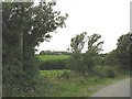 View across farmland towards the derelict Pwll-y-gynau uchaf