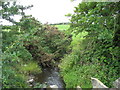 Stream above the bridge