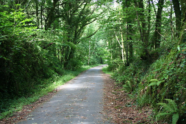 The Plym Valley Cycleway
