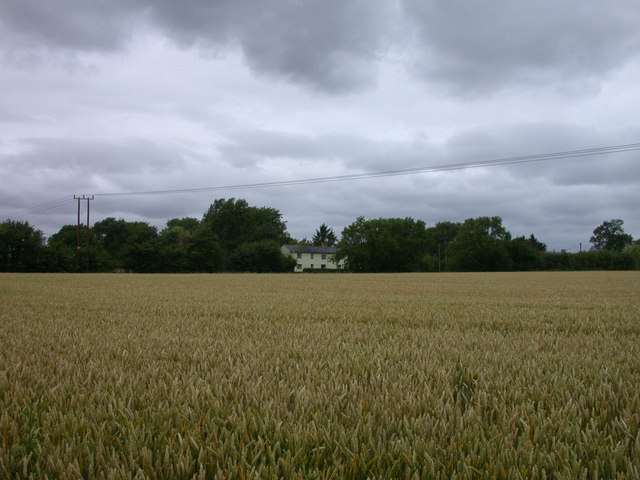 View of Woodview across a wheat field