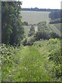 Farm track, Teffont Down